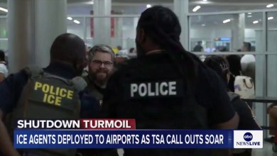 ICE Goons ‘Roam Around’ and Get Coffee After Being Sent to Fix Airports ICE Goons ‘Roam Around’ and Get Coffee After Being Sent to Fix Airports