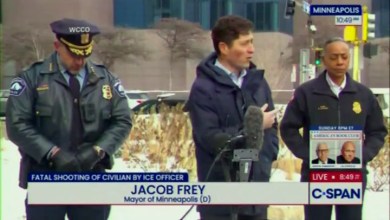 ICE Goons Blasted for Letting Car Roll Away During Arrest ICE Goons Blasted for Letting Car Roll Away During Arrest