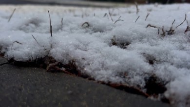 Winter-related death reported in Greene County Winter-related death reported in Greene County