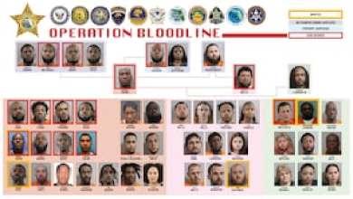 Major drug trafficking operations in Central Florida result in 51 arrests Major drug trafficking operations in Central Florida result in 51 arrests