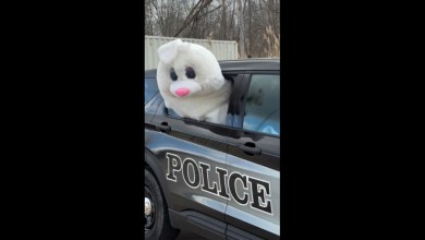 Easter Bunny ‘escapes’ from Michigan police cruiser, recreating viral video Easter Bunny ‘escapes’ from Michigan police cruiser, recreating viral video