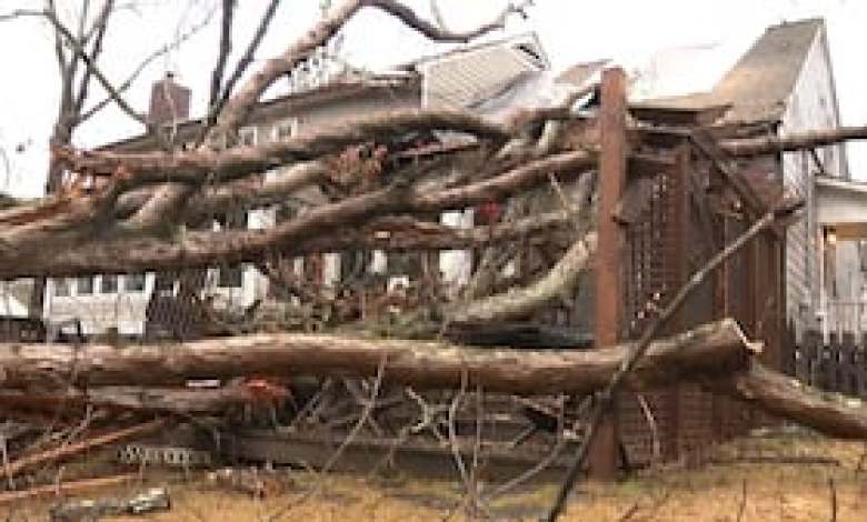 Large tree crashes on family’s home as they watched Chick-fil-A Peach Bowl Large tree crashes on family’s home as they watched Chick-fil-A Peach Bowl