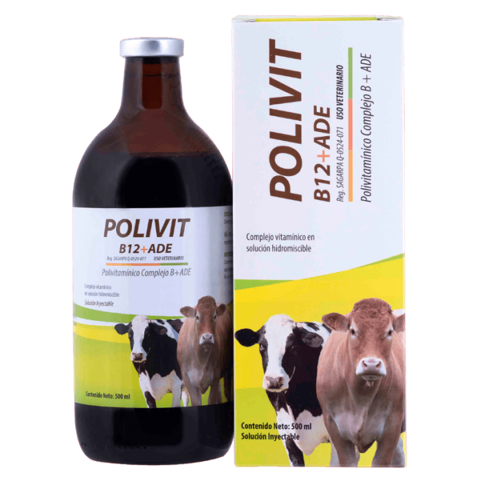POLIVIT B12+ADE 500 ML POLIVIT B12+ADE 500 ML