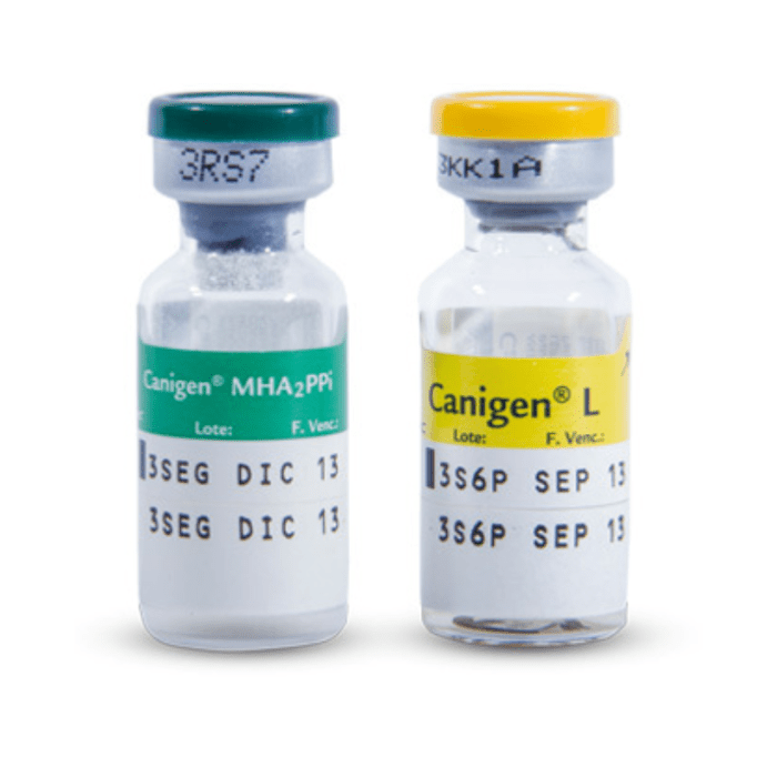 CANIGEN QUINTUPLE (10) 1DS PQ CANIGEN QUINTUPLE (10) 1DS PQ