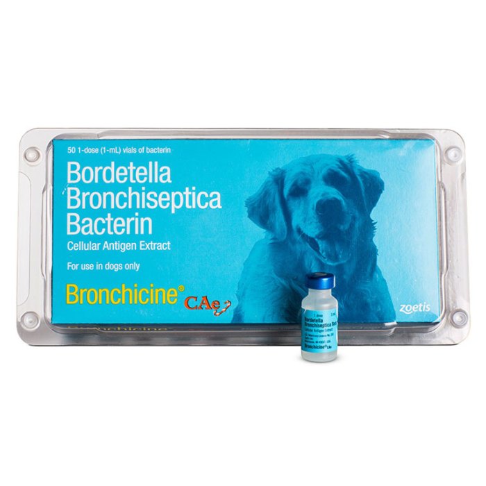 BRONCHICINE 1DS BRONCHICINE 1DS