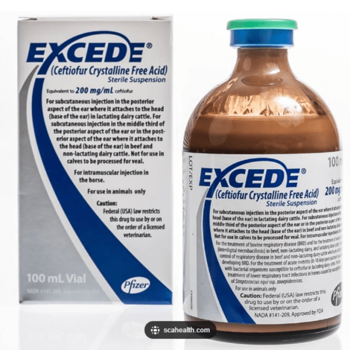 EXCEDE EQUINOS 100ML EXCEDE EQUINOS 100ML