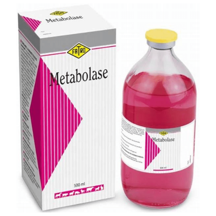 METABOLASE FORTE METABOLASE FORTE