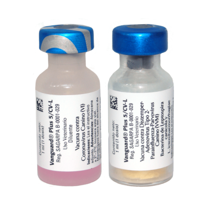 VANGUARD PLUS-5 CV-L VANGUARD PLUS-5 CV-L