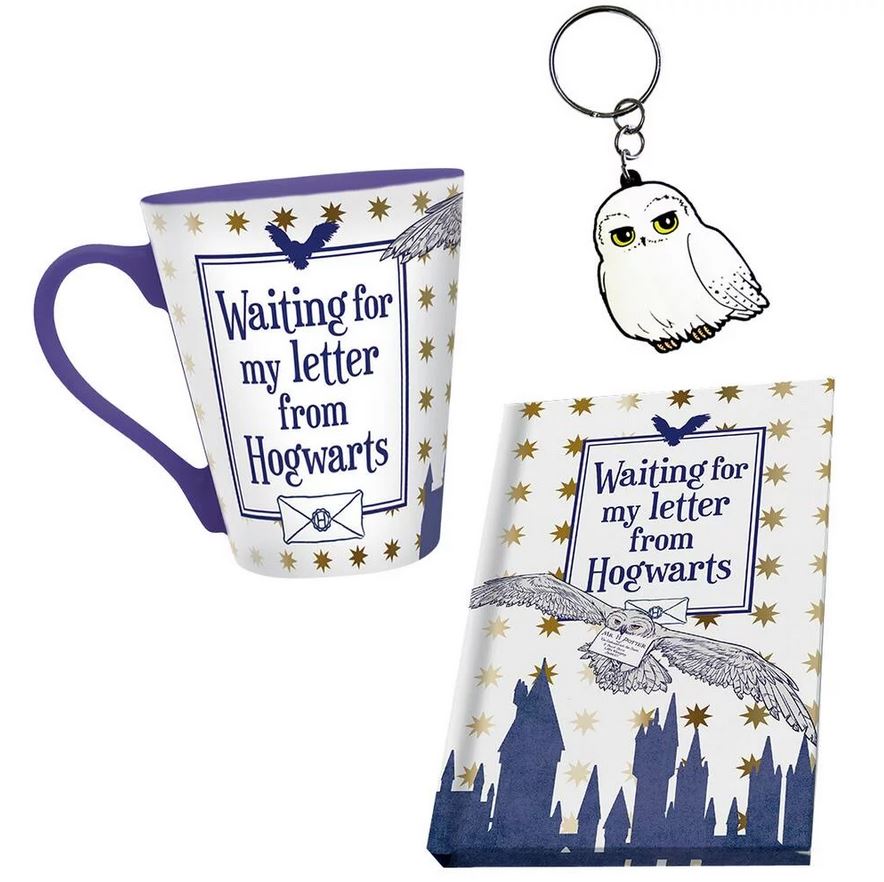 HARRY POTTER-PCK MUG-KEYCH-NOTEB/HEDWIG