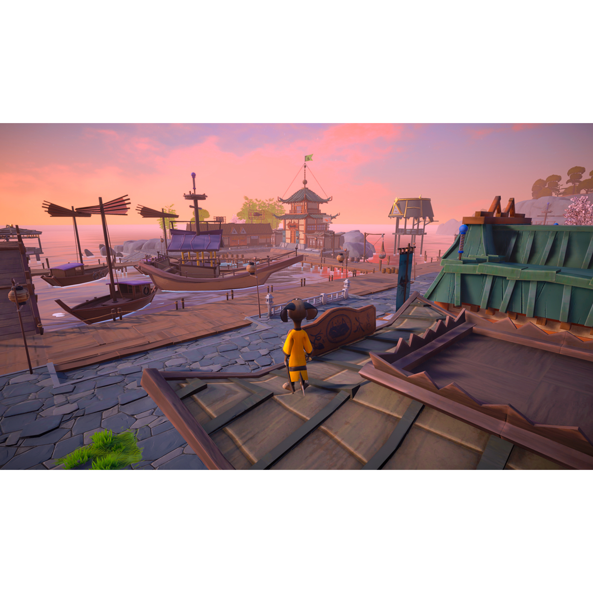 SAMURAI ACADEMY PAWS OF FURY NSW