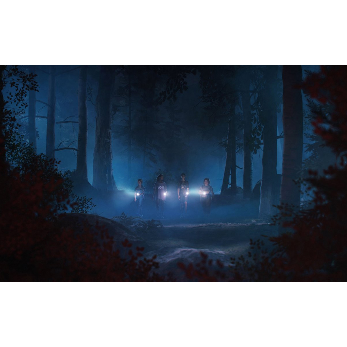 LOST RECORDS BLOOM AND RAGE PS5