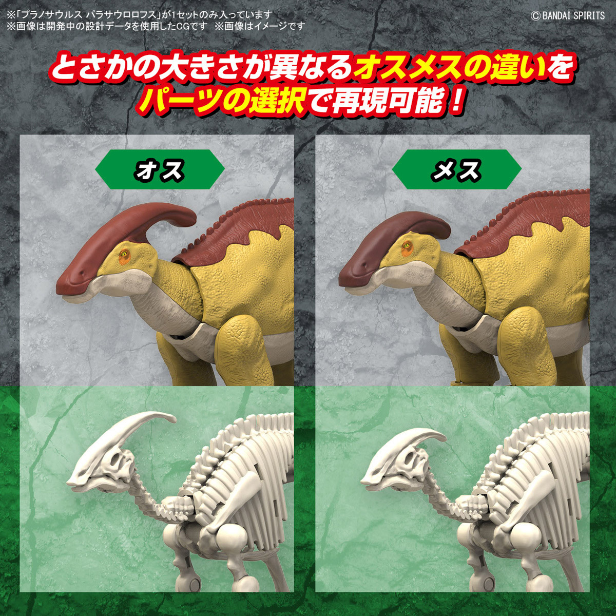 PLANNOSAURUS PARASAUROLOPHUS