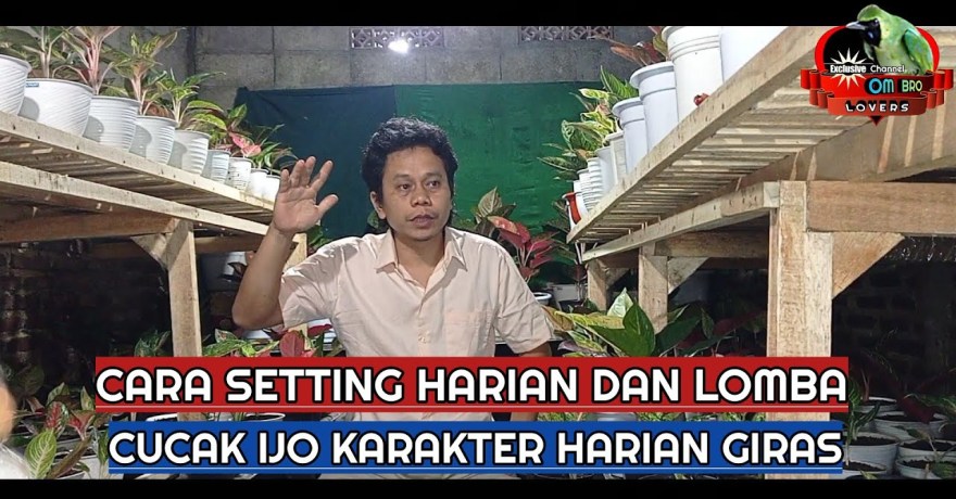 Strategi Setting Harian Jelang Lomba untuk Persiapan Optimal Strategi Setting Harian Jelang Lomba untuk Persiapan Optimal