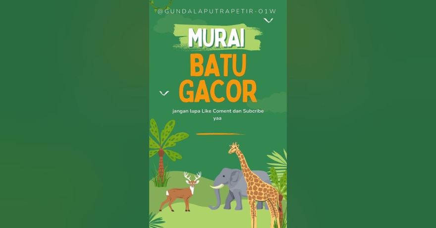Cara Meningkatkan Volume Kicauan Burung Secara Efektif dan Mudah Cara Meningkatkan Volume Kicauan Burung Secara Efektif dan Mudah