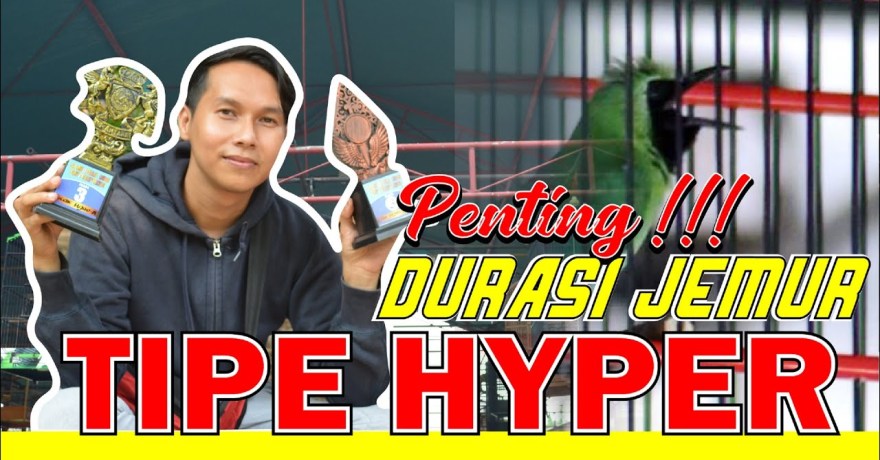 Tips Mengatur Durasi Jemur sebelum Lomba agar Hasil Maksimal Tips Mengatur Durasi Jemur sebelum Lomba agar Hasil Maksimal