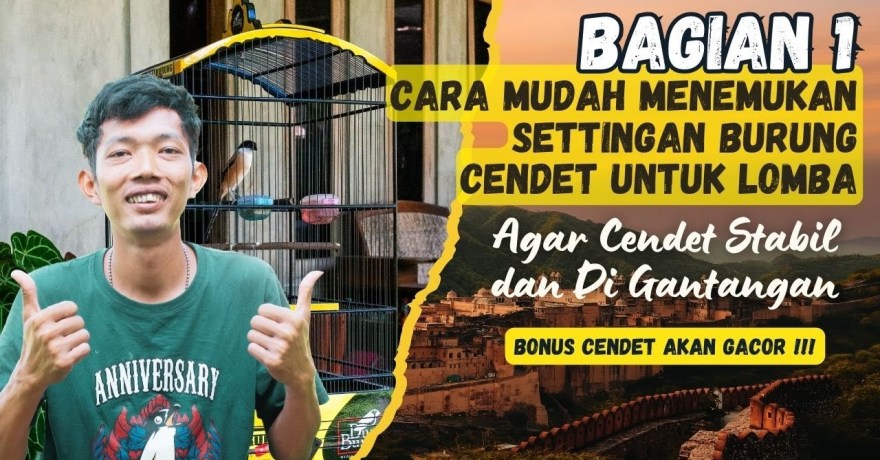 Cara Membuat Burung Tampil Stabil di Gantangan dengan Mudah Cara Membuat Burung Tampil Stabil di Gantangan dengan Mudah