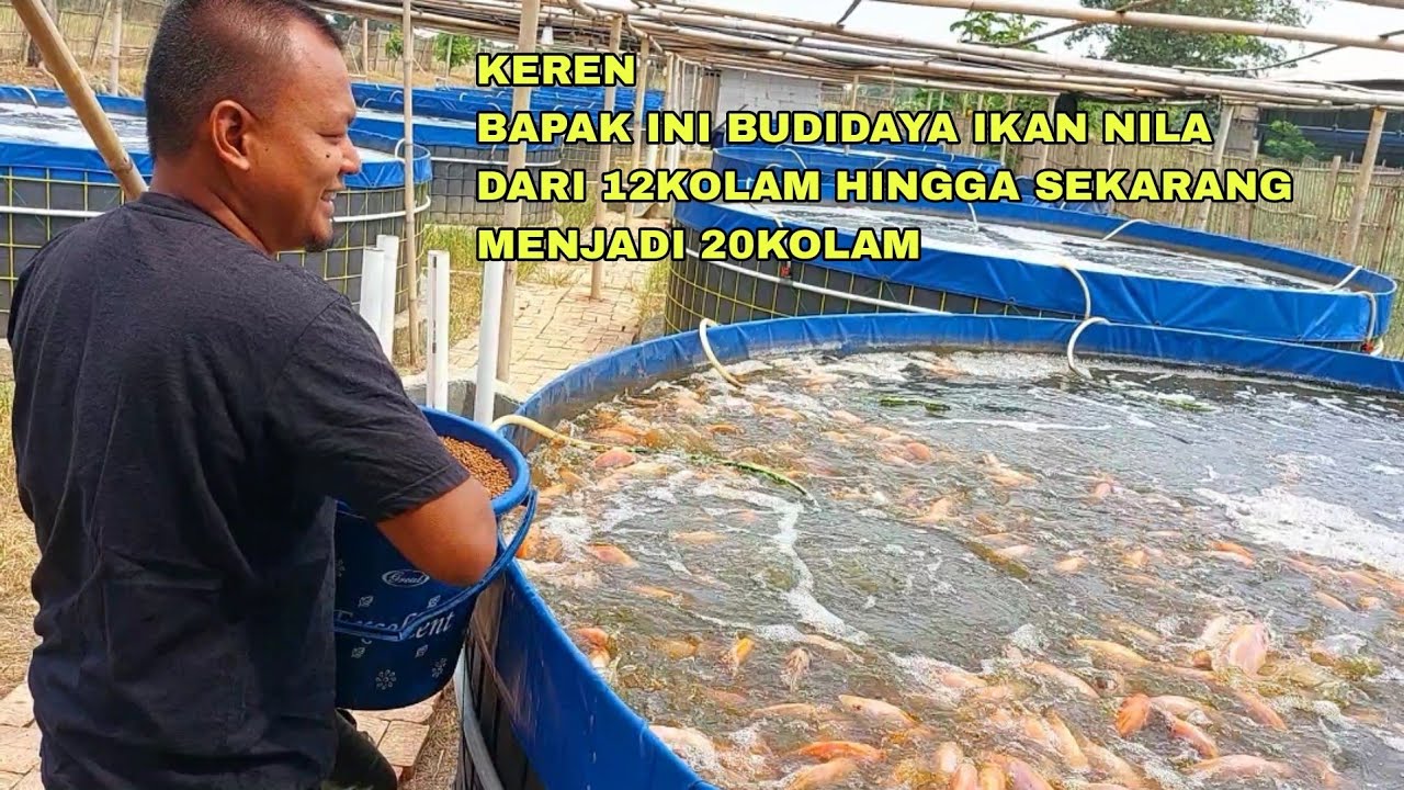 Tips Efektif Merawat Kolam Bioflok untuk Budidaya Lele yang Sukses Tips Efektif Merawat Kolam Bioflok untuk Budidaya Lele yang Sukses