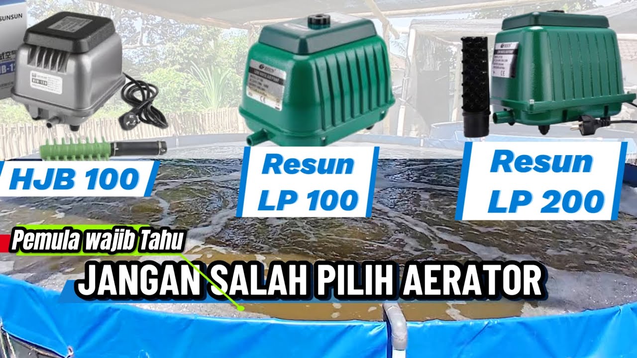 Efektivitas Budidaya Lele Bioflok Tanpa Aerator untuk Hasil Optimal Efektivitas Budidaya Lele Bioflok Tanpa Aerator untuk Hasil Optimal