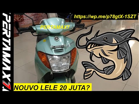 Panduan Cerdas Jual Lele Online untuk Budidaya Bioflok yang Sukses Panduan Cerdas Jual Lele Online untuk Budidaya Bioflok yang Sukses