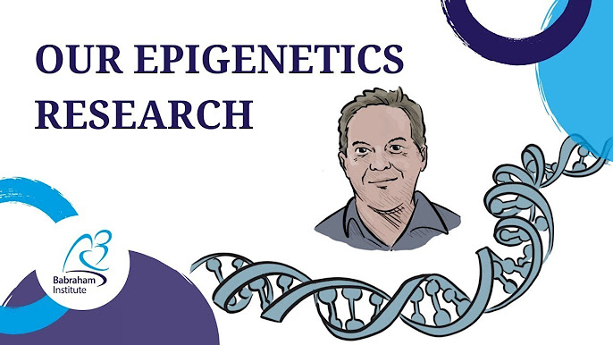 Decoding Life: Advancements in Epigenetics Research Decoding Life: Advancements in Epigenetics Research