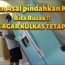 Trik Cerdas Menyimpan Buah di Kulkas agar Nutrisi Tetap Terjaga Trik Cerdas Menyimpan Buah di Kulkas agar Nutrisi Tetap Terjaga