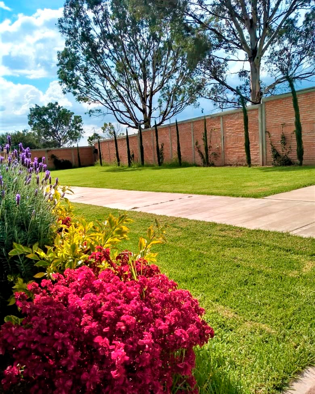 Terraza Valle Imperial