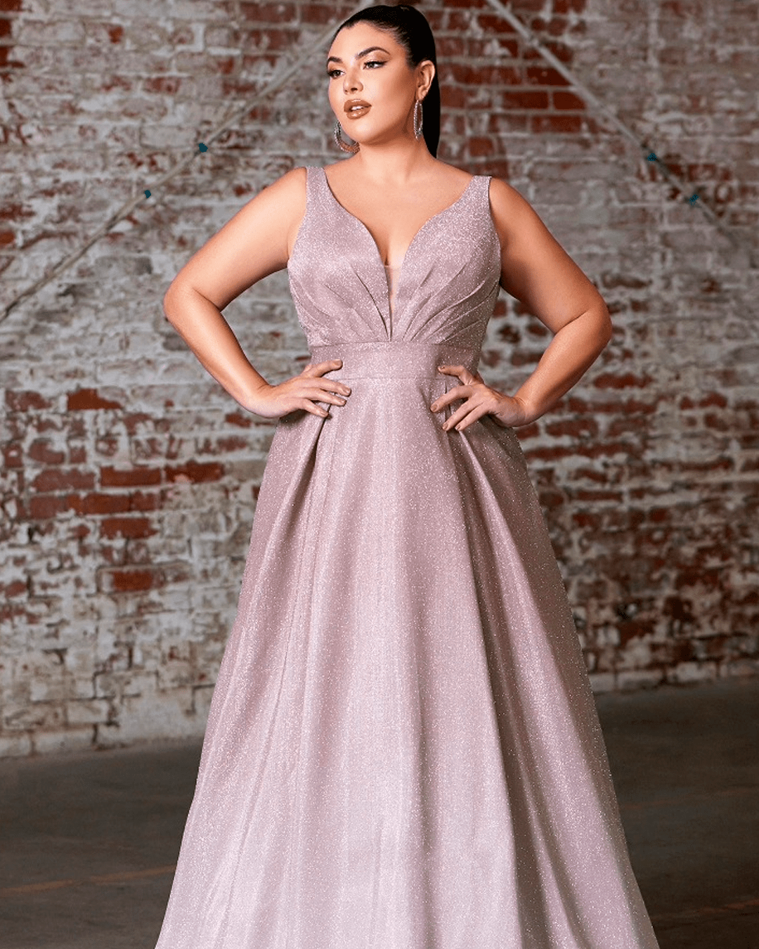 Switch Renta de Vestidos Aguascalientes