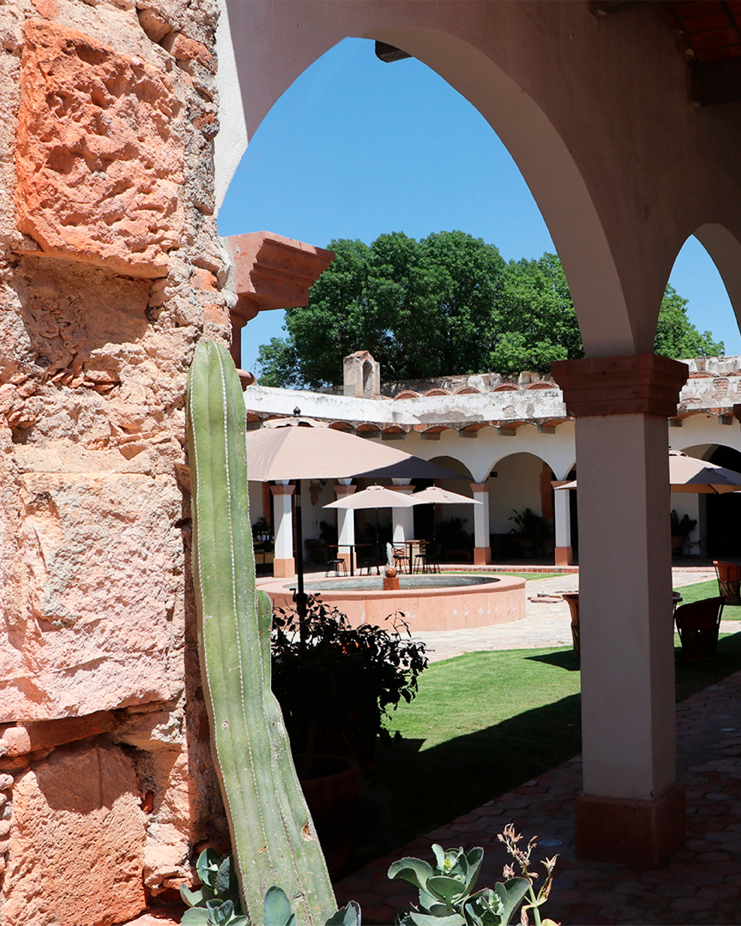 Hacienda El Saucillo