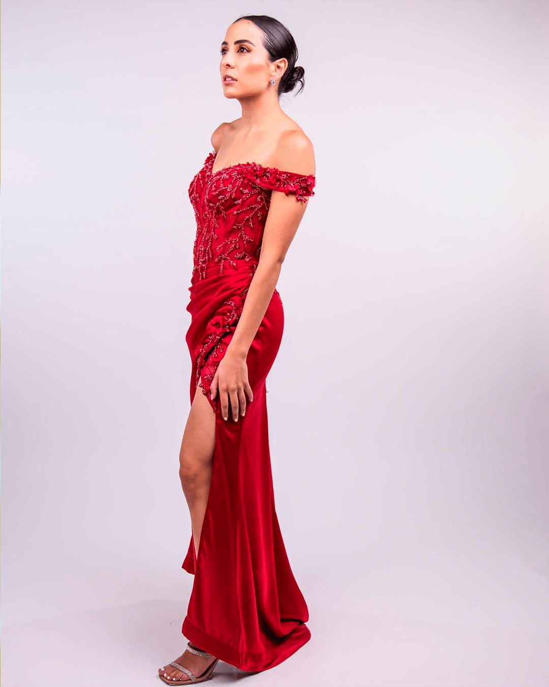 Switch Renta de Vestidos Aguascalientes