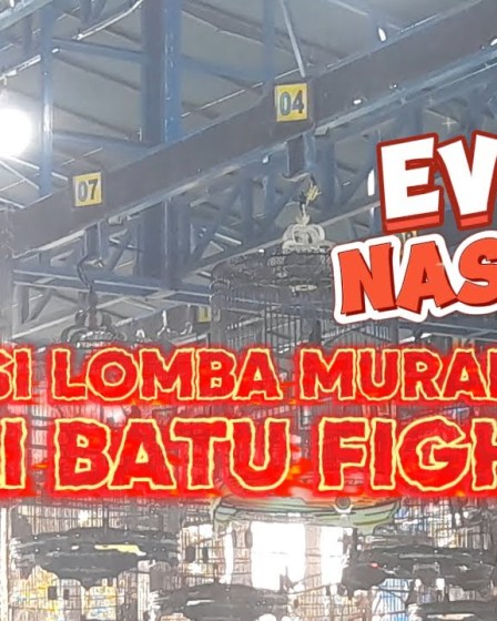 Daftar Event Lomba Murai Batu Nasional Terbaik Tahun ini Daftar Event Lomba Murai Batu Nasional Terbaik Tahun ini