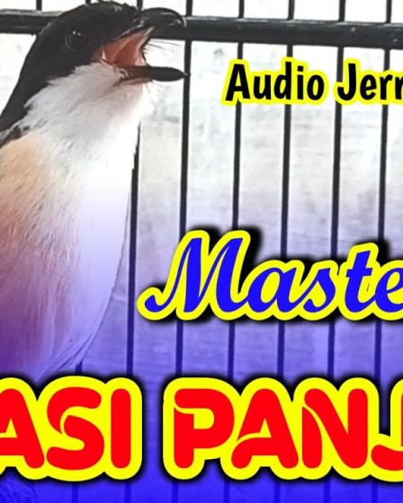 Cara Mengatur Durasi Masteran Audio untuk Hasil yang Sempurna Cara Mengatur Durasi Masteran Audio untuk Hasil yang Sempurna