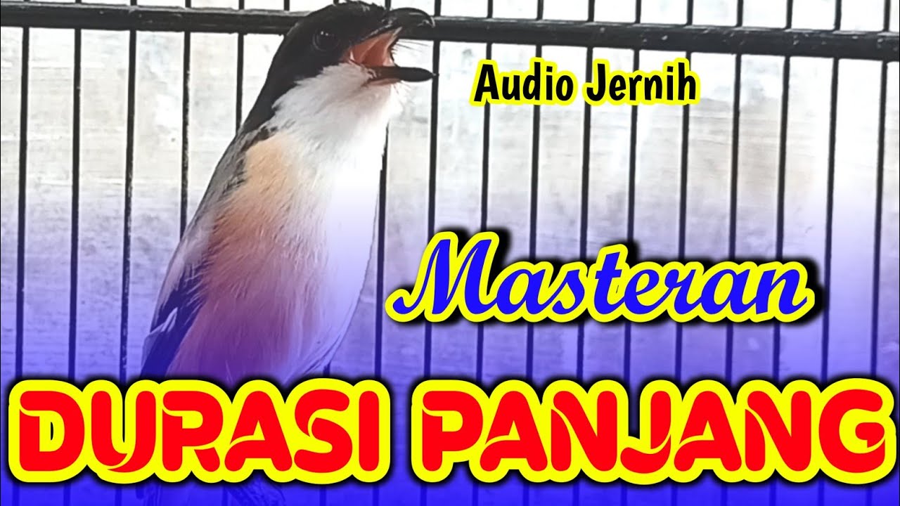 Cara Mengatur Durasi Masteran Audio untuk Hasil yang Sempurna Cara Mengatur Durasi Masteran Audio untuk Hasil yang Sempurna