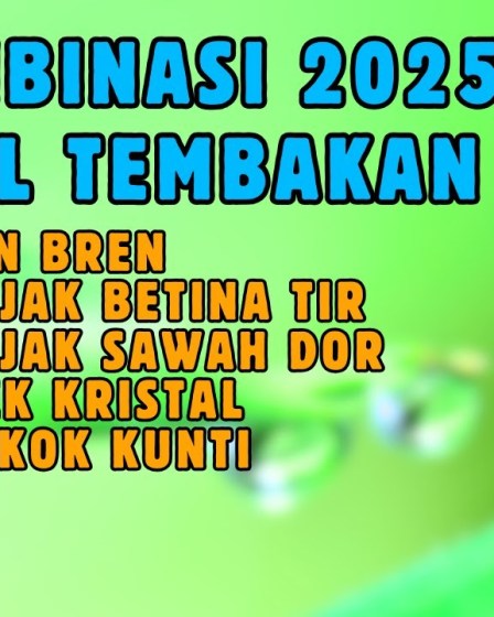Murai Batu Festival Nasional 2025: Meriahkan Suasana dengan Pesona Burung Murai Batu Festival Nasional 2025: Meriahkan Suasana dengan Pesona Burung