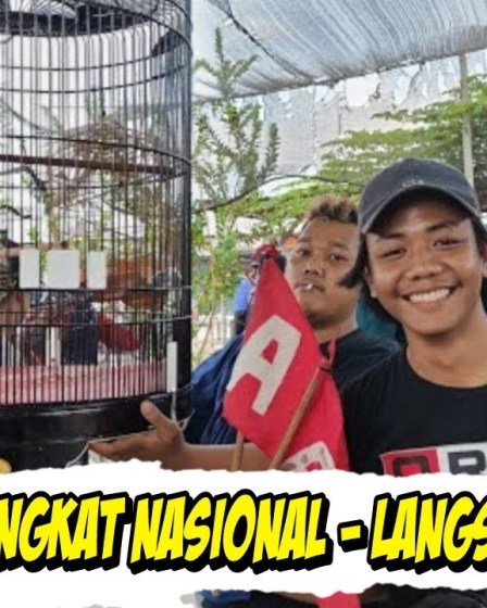 Hasil Lomba Murai Batu Minggu Kemarin: Siapa Pemenangnya? Hasil Lomba Murai Batu Minggu Kemarin: Siapa Pemenangnya?