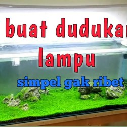 Durasi Ideal Lampu Akuarium Harian untuk Kesehatan Ikan Anda Durasi Ideal Lampu Akuarium Harian untuk Kesehatan Ikan Anda