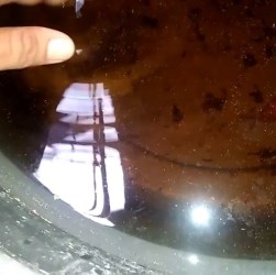 Cara Mempercepat Pertumbuhan Burayak Cupang Secara Efektif Cara Mempercepat Pertumbuhan Burayak Cupang Secara Efektif