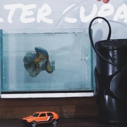 Filter Kecil untuk Akuarium Ikan Cupang: Pilihan Terbaik Anda Filter Kecil untuk Akuarium Ikan Cupang: Pilihan Terbaik Anda