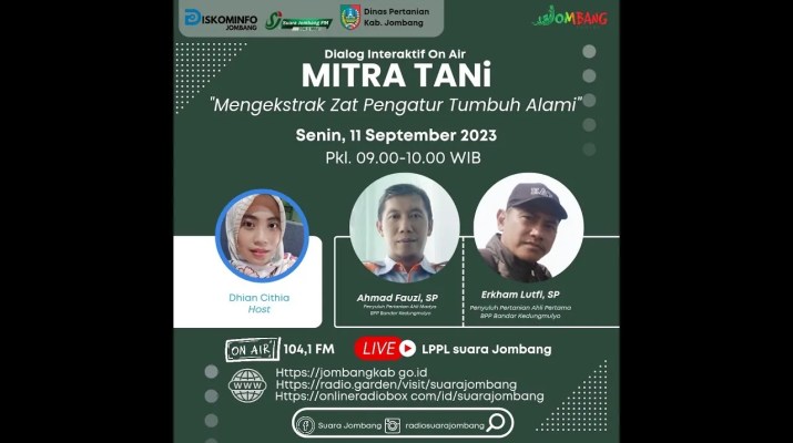 Seni Menyeduh Teh: Cara Menghadirkan Rasa Manis Alami yang Sempurna Seni Menyeduh Teh: Cara Menghadirkan Rasa Manis Alami yang Sempurna