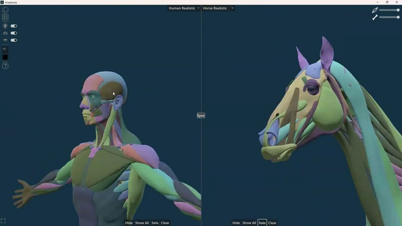 Get ANASTOMIA Free: The Ultimate Anatomy Reference for Artists Get ANASTOMIA Free: The Ultimate Anatomy Reference for Artists