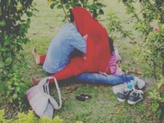 প্রেমের টানে প্রেমের টানে