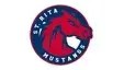St. Rita of Cascia to play Oak Forest in varsity baseball matchup St. Rita of Cascia to play Oak Forest in varsity baseball matchup