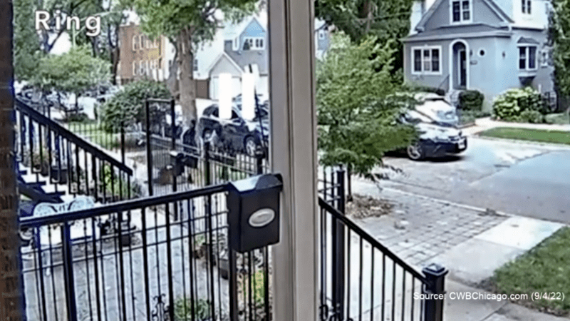 Screenshot from "The Lakeview Scream" ad Screenshot from "The Lakeview Scream" ad