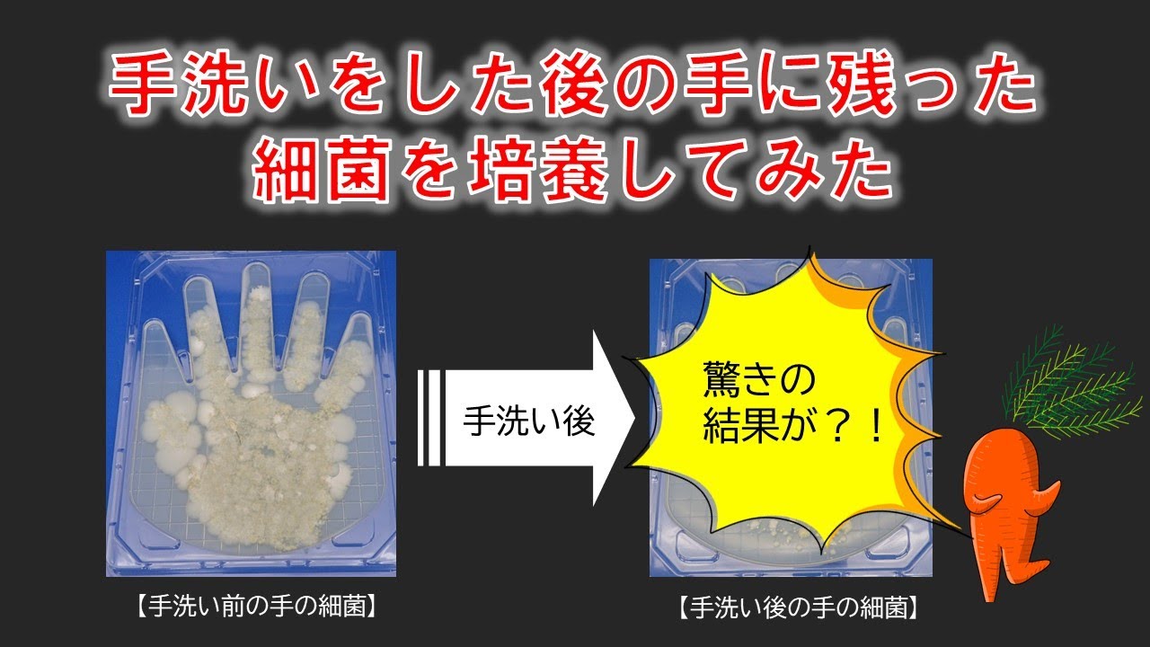 iOS 9には、スペースが不十分なデバイスでのOSアップデートのための新しい自動アプリ削除/再インストール機能が含まれています iOS 9には、スペースが不十分なデバイスでのOSアップデートのための新しい自動アプリ削除/再インストール機能が含まれています