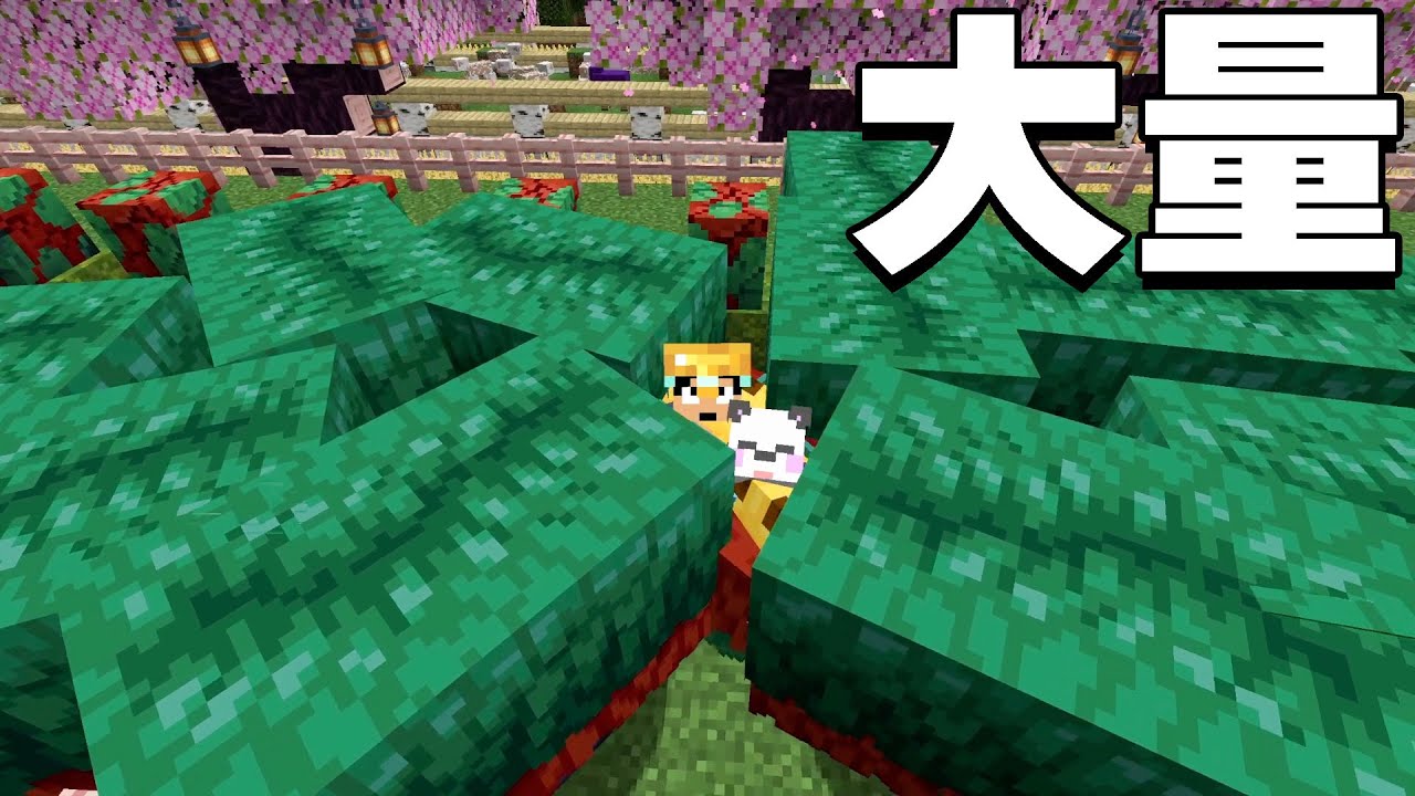 Apple、ミュージックビデオアプリMusical.lyに曲のスニペットを提供 Apple、ミュージックビデオアプリMusical.lyに曲のスニペットを提供