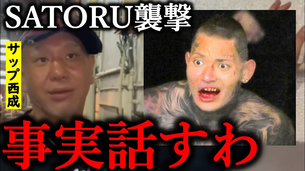 パームフォレオが明らかに パームフォレオが明らかに