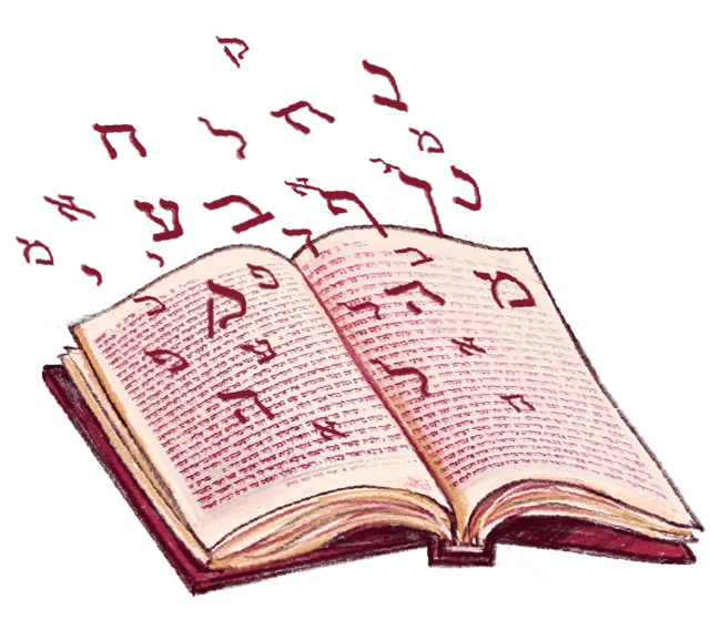 סיפורים מהפרשה סיפורים מהפרשה