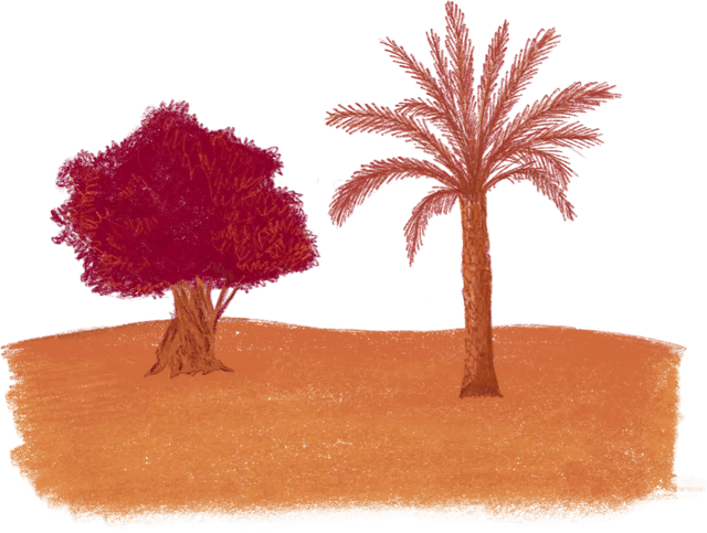 צמחים בתורה צמחים בתורה
