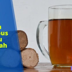 Cara Merebus Rebung Yang Benar untuk Cita Rasa Terbaik Cara Merebus Rebung Yang Benar untuk Cita Rasa Terbaik