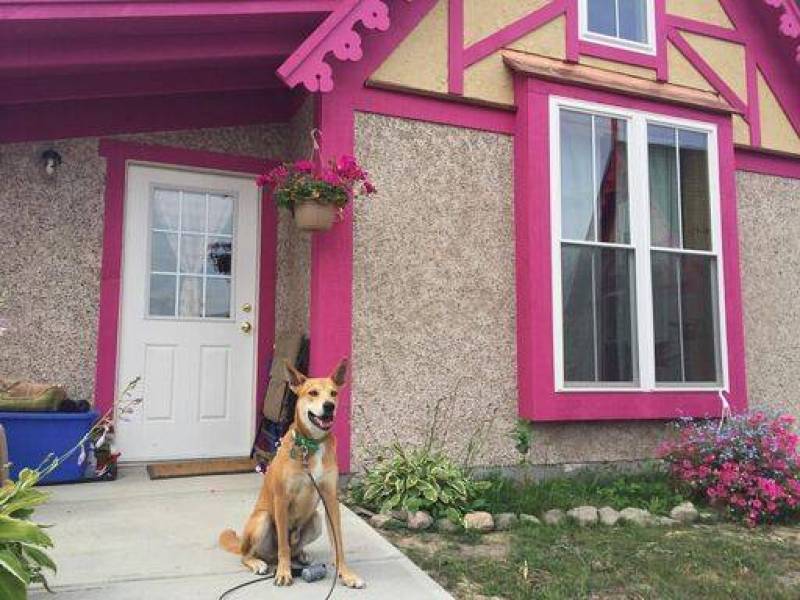 Magical Tinyhouse Community w/ 2 dog parks, W/D, free gym
,695
10 minutes to Cornell and Ithaca – Brooktondale Magical Tinyhouse Community w/ 2 dog parks, W/D, free gym
,695
10 minutes to Cornell and Ithaca – Brooktondale