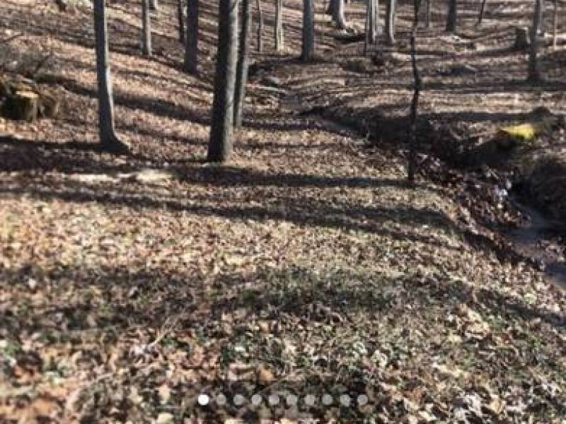 2 acres unrestricted off grid land in WV
,000 2 acres unrestricted off grid land in WV
,000